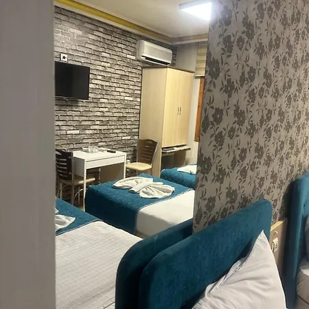 Mevlana şems 3*
