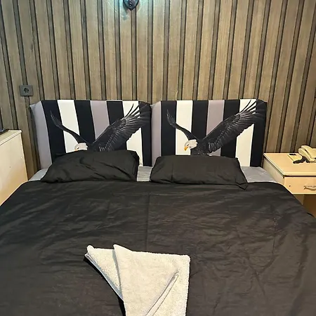 Mevlana Sems コンヤ