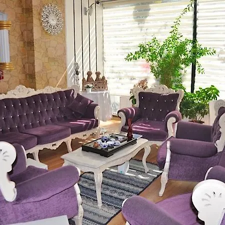 Mevlana şems 3*
